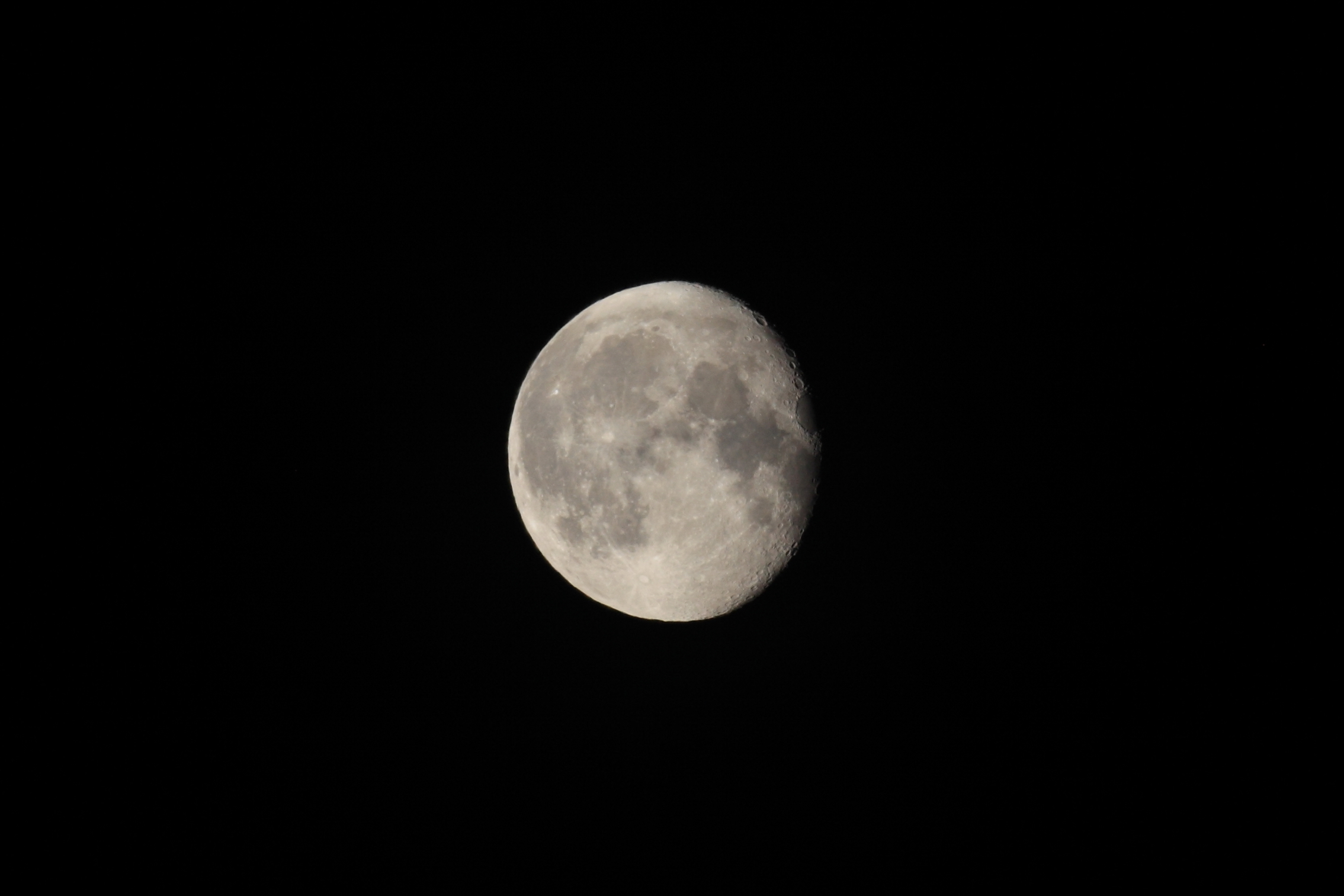 IMG_3689a